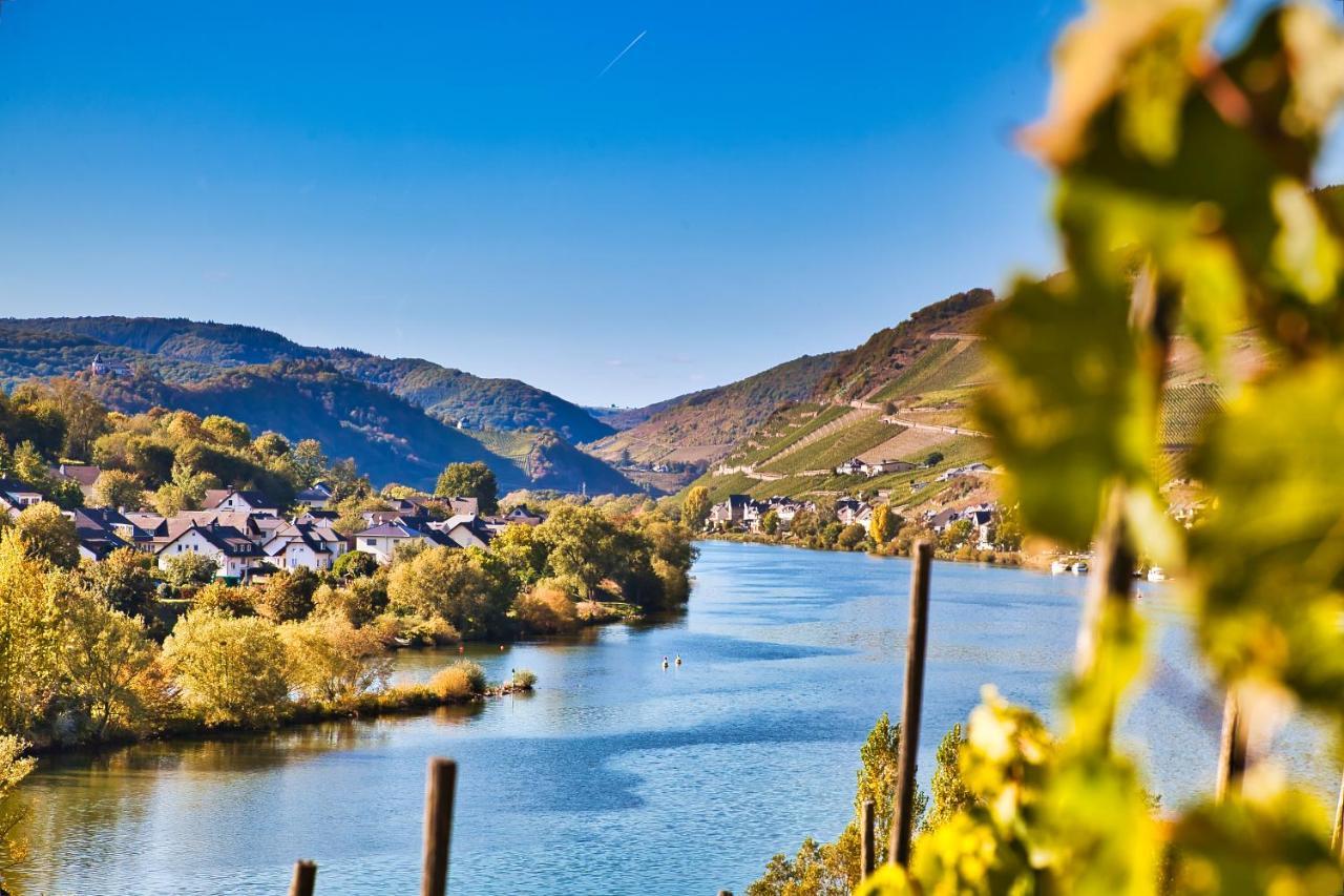 Luxus Apartments Mosel-Zeit Neu 2023 Zell an der Mosel Zewnętrze zdjęcie