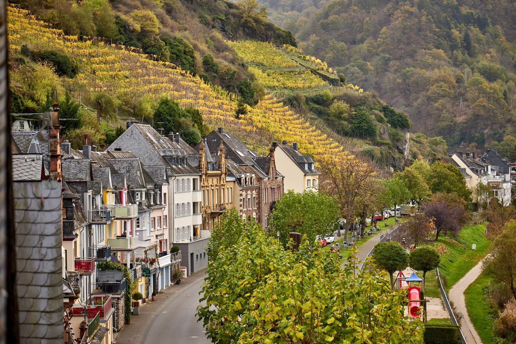 Luxus Apartments Mosel-Zeit Neu 2023 Zell an der Mosel Zewnętrze zdjęcie